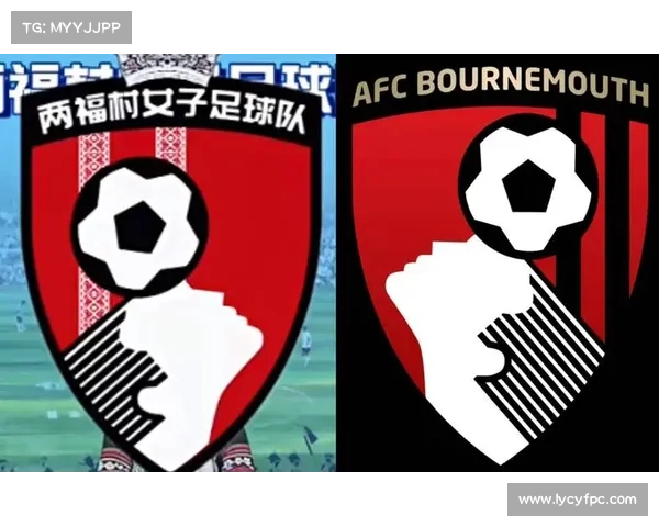 AFF足球是什么赛事—afc足球俱乐部